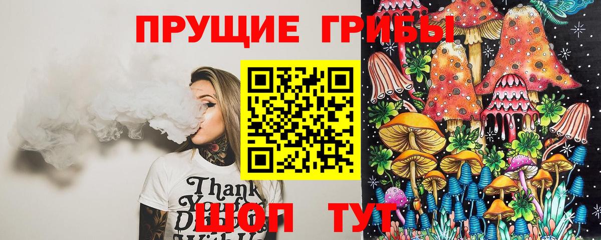 Кисловодск  Псилоцибиновые грибы MAGIC MUSHROOMS  Вход с VPN 