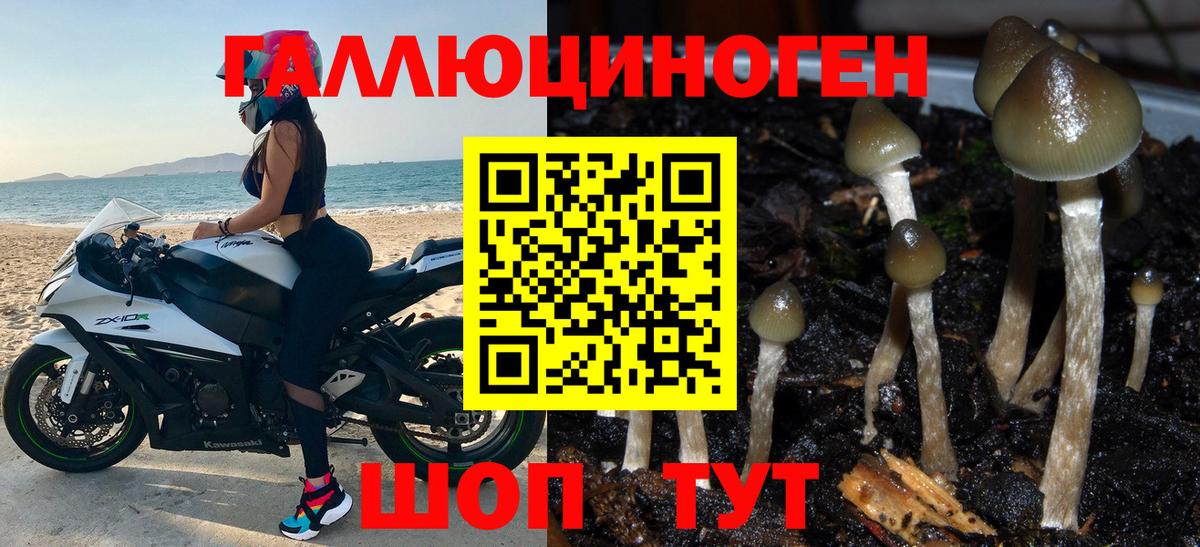 Галлюциногенные грибы Magic Shrooms Кисловодск
